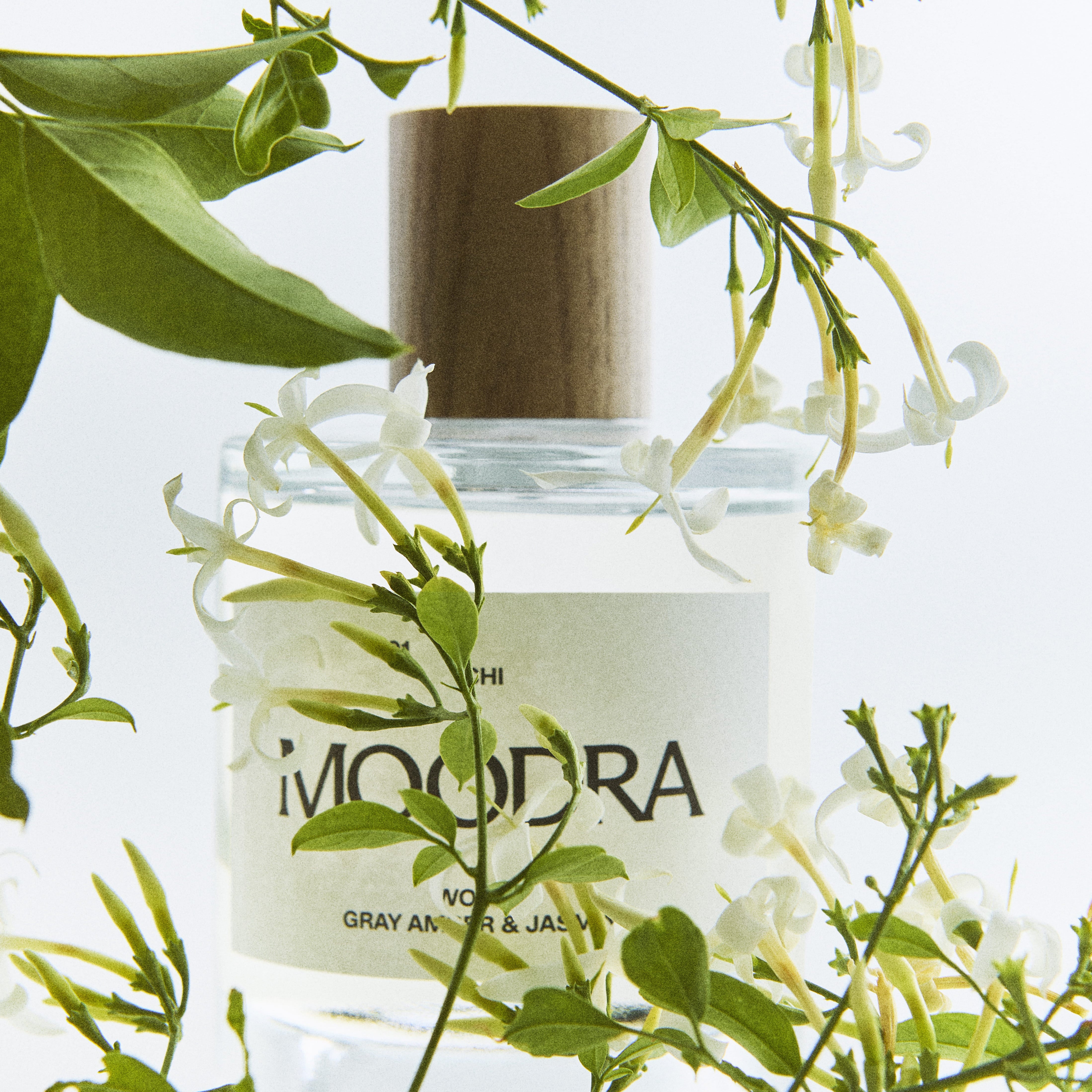 foto-perfume-ambar-gris-y-jazmin